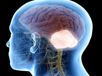 Sinir Sisteminin Doğumsal Anomalileri